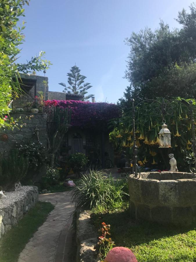 Casa Vacanze Il Pozzo Villa Ischia Island Kültér fotó