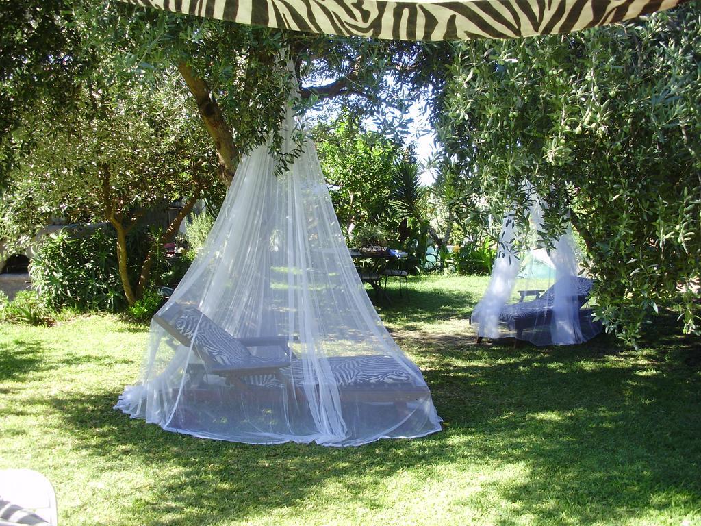 Casa Vacanze Il Pozzo Villa Ischia Island Kültér fotó