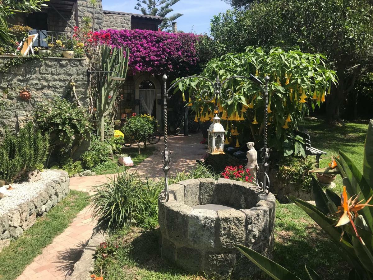 Casa Vacanze Il Pozzo Villa Ischia Island Kültér fotó