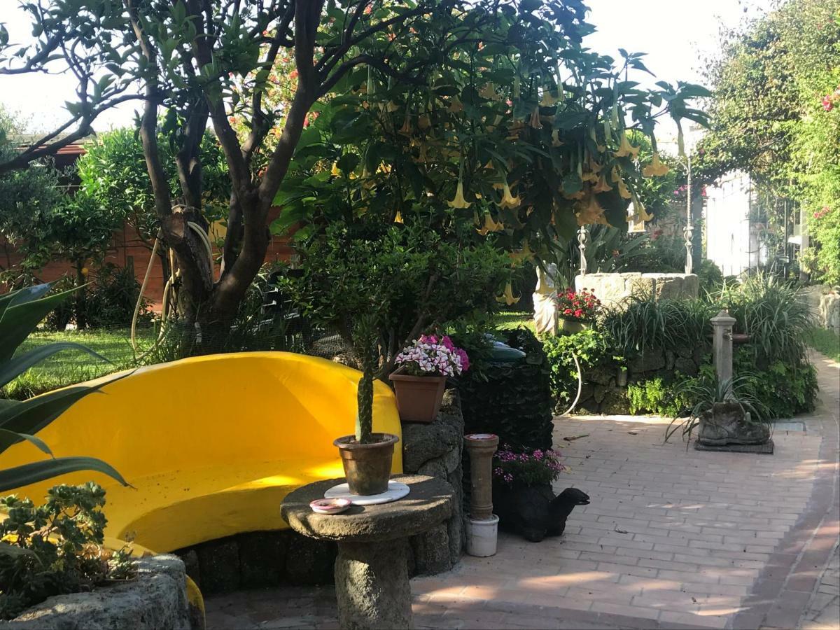 Casa Vacanze Il Pozzo Villa Ischia Island Kültér fotó