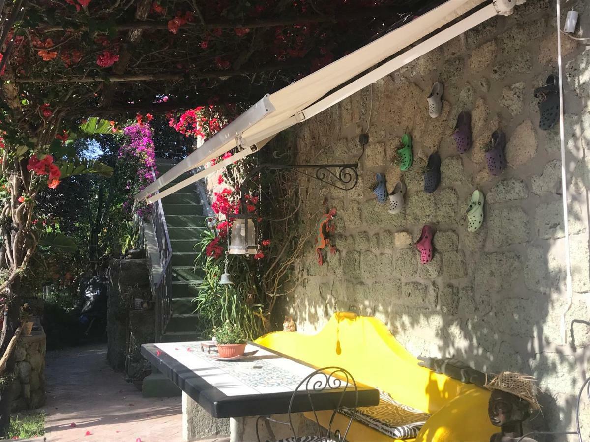 Casa Vacanze Il Pozzo Villa Ischia Island Kültér fotó
