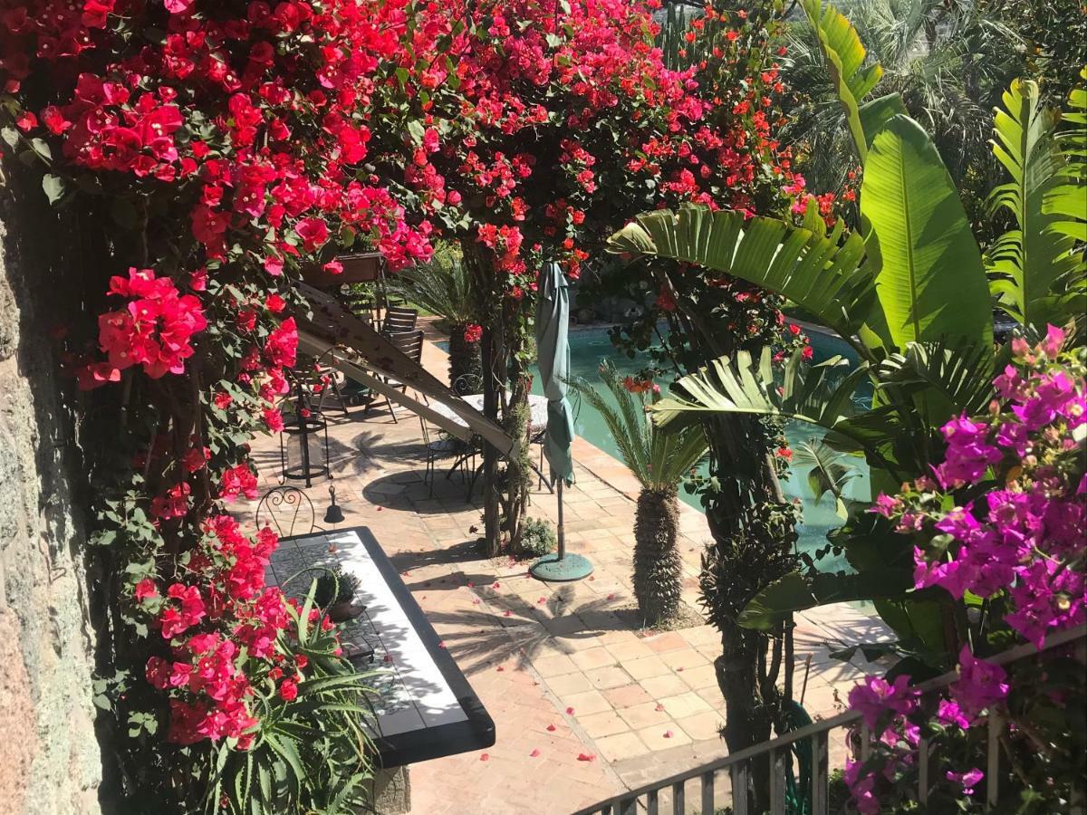 Casa Vacanze Il Pozzo Villa Ischia Island Kültér fotó